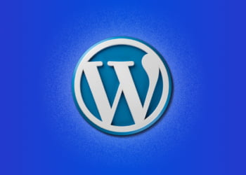 Can I Build A WordPress Site Without Hosting