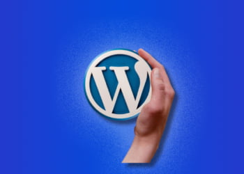 Can I Host A WordPress Site On My Own Server