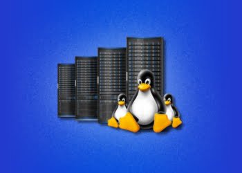 What Is Linux Reseller Hosting