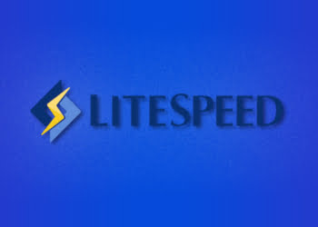 What Is LiteSpeed