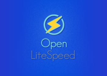 What Is OpenLiteSpeed